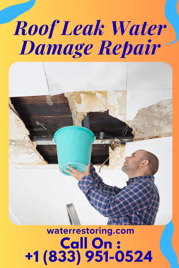 Roof Leak Water Damage Repair in Rancho Calaveras, CA